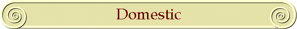 Domestic