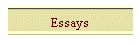 Essays