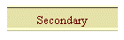 Secondary