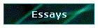 Essays
